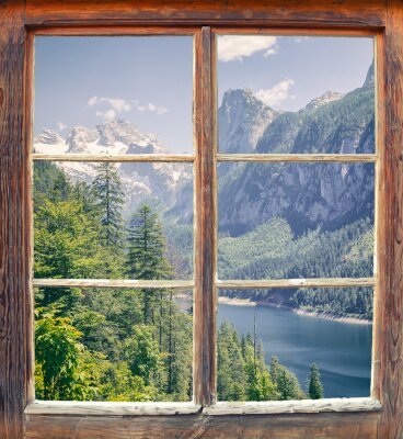 Wald aus dem fenster