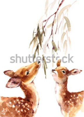 Poster Waldtiere Rehe