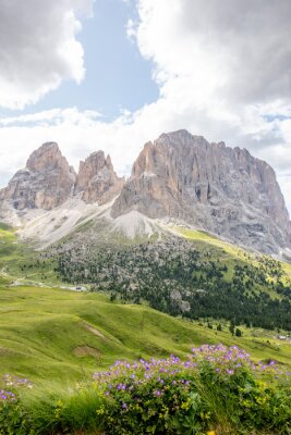 Poster Wiese am Fuße der Berge