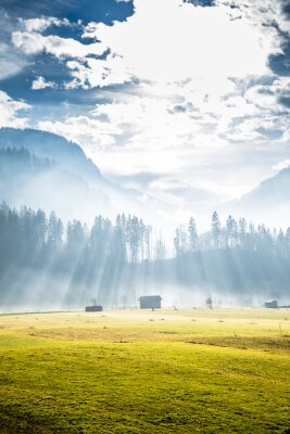 Poster Wiesen und andere Felder in den Alpen