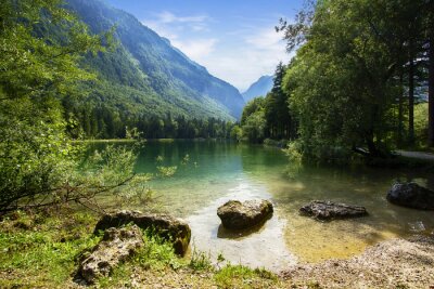 Wilde Natur der Berge