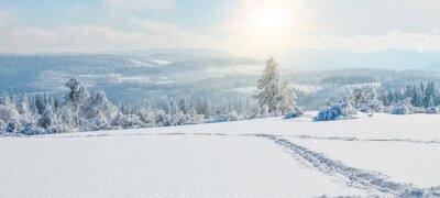 Poster Winterpanorama von einer Bergwiese