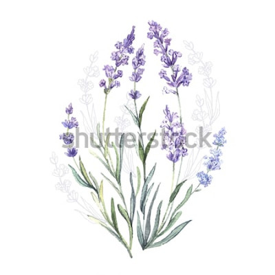 Sticker Aquarell mit Lavendel