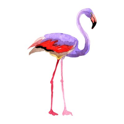 Sticker Flamingo auf einer Aquarellillustration