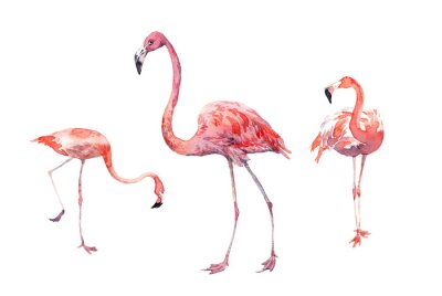 Sticker Flamingos mit Wasserfarben gemalt