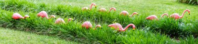 Sticker Flamingos zwischen grünen gräsern