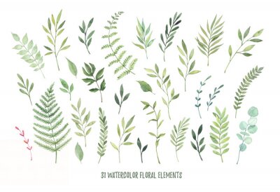 Sticker Handgezeichnete Aquarellillustrationen. Botanische Clipart (Blätter, Blüten, Strudel, Kräuter, Äste). Floral Design-Elemente. Vervollkommnen Sie für Hochzeitseinladungen, Grußkarten, blogs, Plakate un