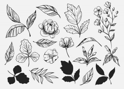 Sticker Leaves set. Hand drawn decorative elements. Vector illustration