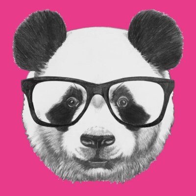 Sticker Pandabär mit großer Brille