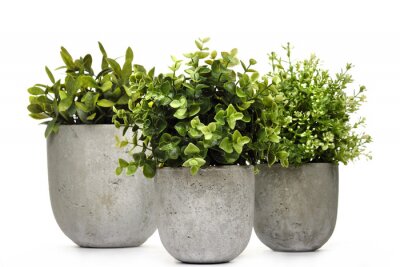 Sticker Pot green plants in and pots