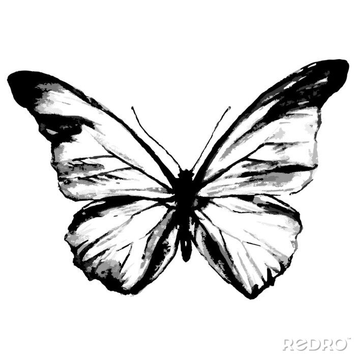 Sticker Schmetterling in monochromatischen Farben