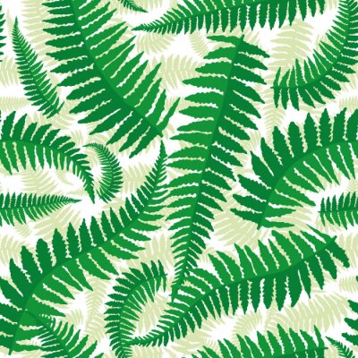 Sticker Seamless pattern with leaves of fern on a white background.