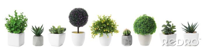 Sticker Set of artificial plants in flower pots isolated on white. Banner design