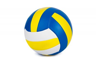 Sticker Volleyball