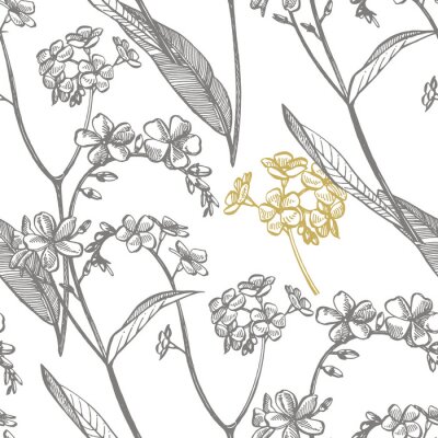 Tapete Vergiss mich nicht Blumen. Botanische Illustration. Gut für Kosmetik, Medizin, Behandlung, Aromatherapie, Pflege, Verpackungsdesign, Feldstrauß. Nahtlose Muster