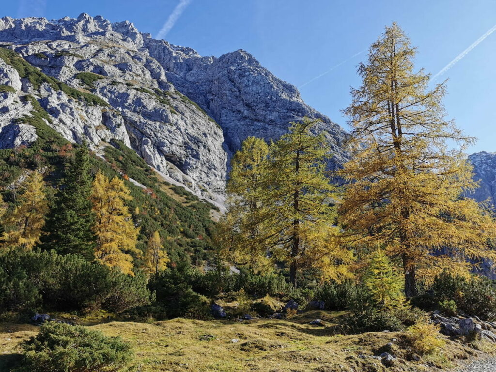 Im Herbst Urlaub die goldgelben Lärchen bewundern