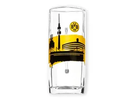 BVB Bierglas Skyline 0 5l