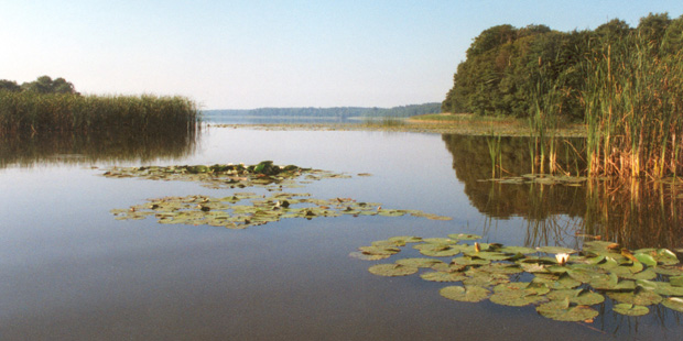 Der Nationalpark Müritz – Inmitten der Mecklenburgischen Seenplatte