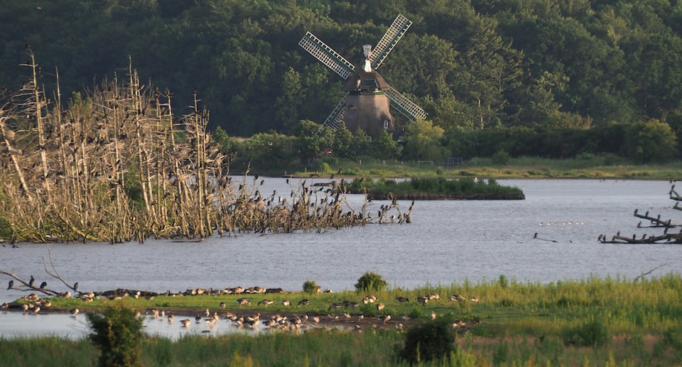 Die Geltinger Birk – ein Naturschutzgebiet mit einem einzigartigen ökologischen Konzept