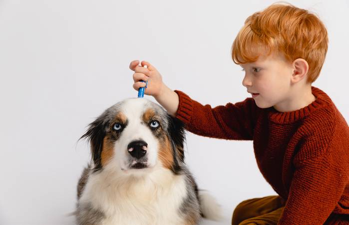 Unter den vielen Freuden, die das Leben mit einem Hund mit sich bringt, gibt es auch Herausforderungen, die es zu bewältigen gilt. (Foto: AdobeStock -  391565259  AlexZachen)