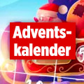 Link: https://spiele.bild.de/adventskalender/