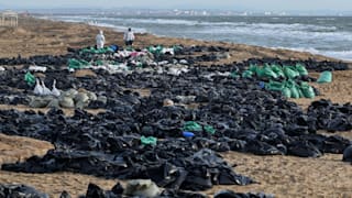 Öl-Pest im Schwarzen Meer: Marode Russentanker sorgen für Delfin-Sterben