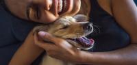 Beautiful young woman playing with a puppy