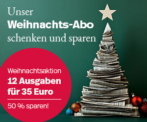 Weihnachts-Abo, Weihnachtsbaum, Zeitungen 