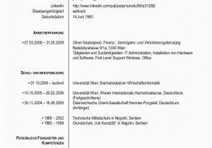 Fähigkeiten Lebenslauf Englisch Cv Petar Luketic