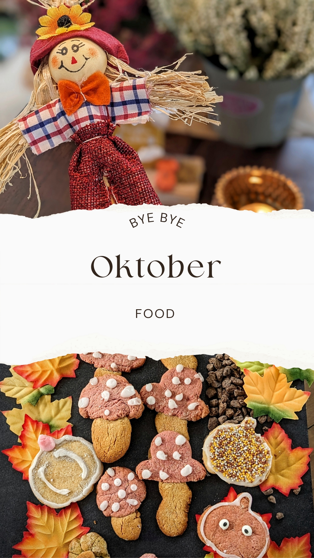 Bye Bye Oktober. Ist mal wieder viel zu schnell vergangen.
Ich liebe diesen Monat.🍂🍁🎑🎃
#oktober #herbst #adieu #jahreszeit #herbstlover