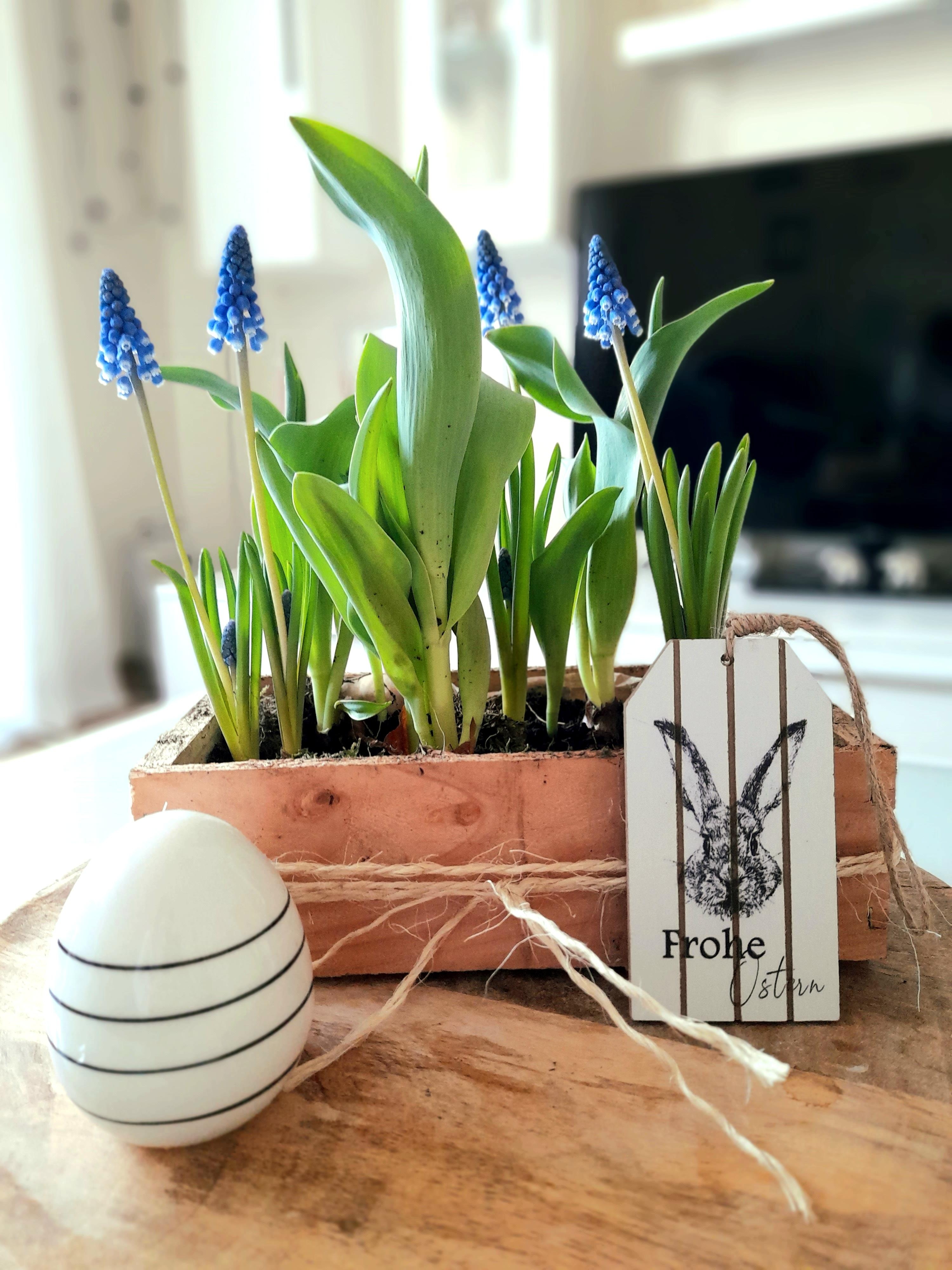 Fruehlingsblumen Ostern 🥚🐰
#flower #ostern #holzkiste #hase #moos #diy #ostergesteck #couchtisch #home #fruehling