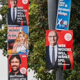 Wahlplakate der SPD und der AfD hängen an Laternenpfählen.