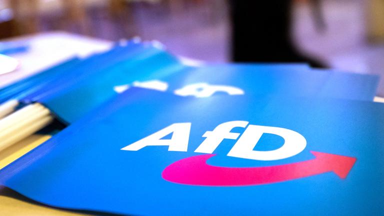 Fähnchen mit dem Logo der AfD liegen auf einem Tisch. (Archiv)