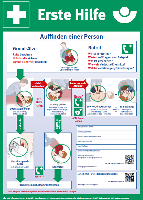 Plakat: Anleitung zur Ersten Hilfe bei Unfällen - Illustrationen von Erste-Hilfe-Situationen: Rettungsgriff, Mund-zu-Mund-Beatmung, Herzdruckmassage, Verband anlegen, stabile Seitenlage