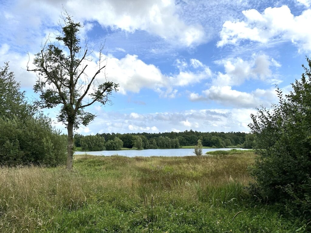 Gay-FKK in NRW: Großer Auesee & See am Kleihügel bei Espelkamp