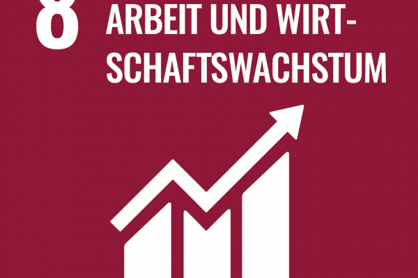 Nachhaltigkeit - Ziel 8 - Menschenwürdige Arbeit und Wirtschaftswachstum