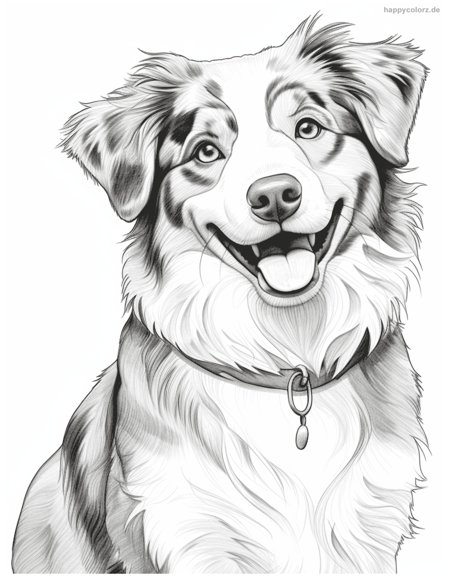 Australian Shepherd Ausmalbild