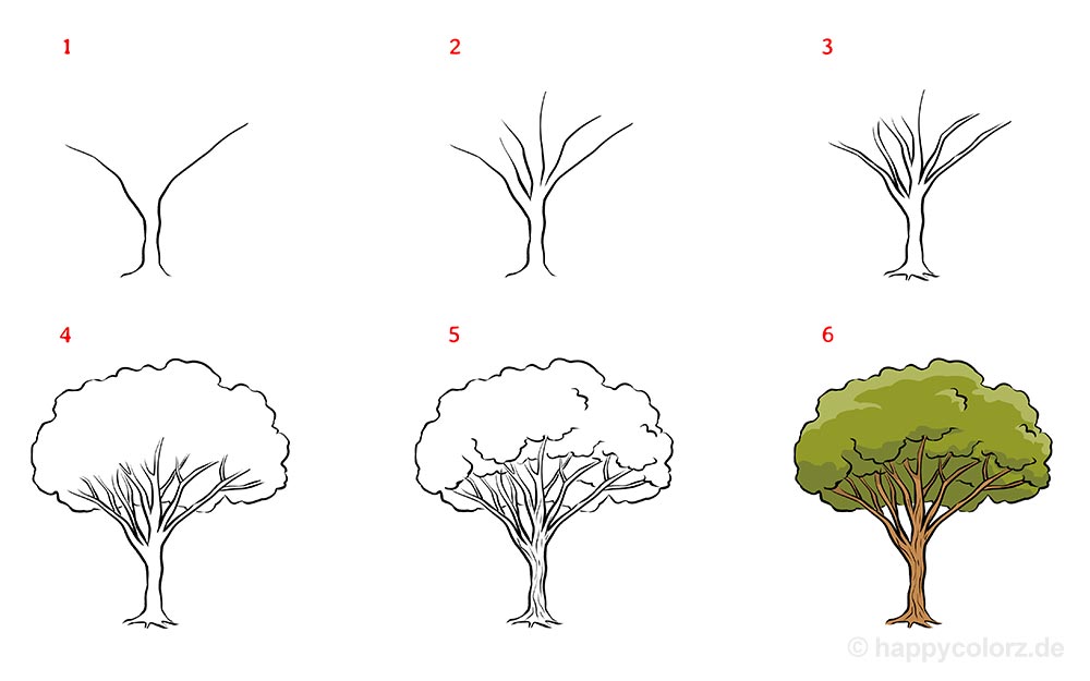 Baum zeichnen - Schritt für Schritt