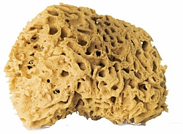 Natúr szivacs, barna, 12,5 cm Hhuumm 01F Natural Sponge