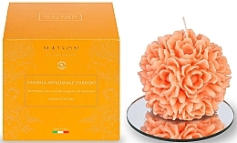 Duftkerze L'Amande Regionali Agrumi di Liguria Scented Candle