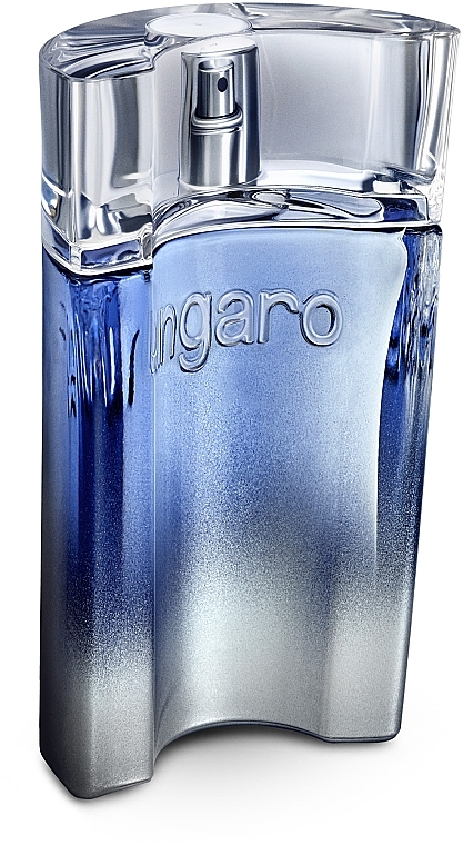 Ungaro Man - Eau de Toilette