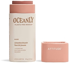 Attitude Oceanly Cream Blush Stick Кремовые румяна