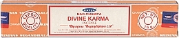 Viiruk "Jumalik karma" Satya Divine Karma Incense