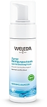 Face Cleansing Foam Weleda Delicate Cleansing Foam