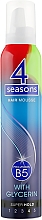 Super Strong Hold Hair Foam 4 Seasons