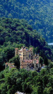 デスクトップの壁紙、、ドイツ、城、森林、Hohenschwangau Castle Fussen、