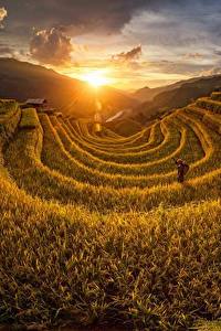 Hintergrundbilder Sonnenaufgänge und Sonnenuntergänge Acker Vietnam Sonne