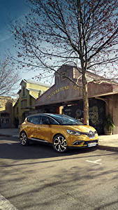 Pictures Renault Yellow Metallic 2016 Scenic automobile