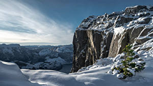 Hintergrundbilder Norwegen Winter Schnee Fjord Pulpit Rock Natur