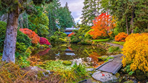 Обои Штаты Сады Осенние Пруд Камни Деревья Вашингтон Japanese Garden Природа